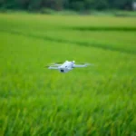 ai-in-agriculture_21364323