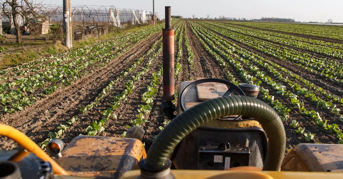 artificial intelligence in agriculture example